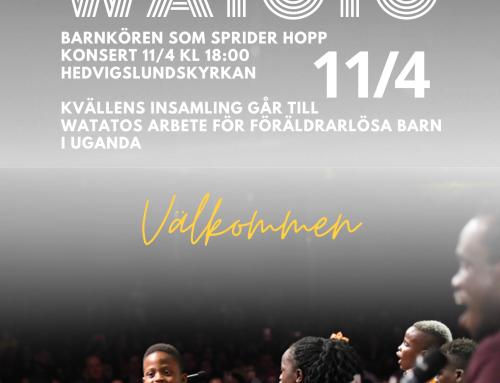 Konsert med Watoto